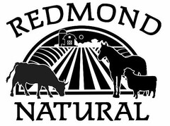 REDMOND NATURAL