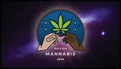 FLO X ALA MANNABIS 2020