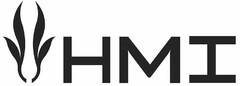 HMI