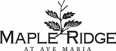 MAPLE RIDGE AT AVE MARIA