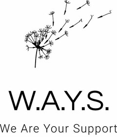 W A Y S W.A.Y.S. WE ARE YOUR SUPPORT
