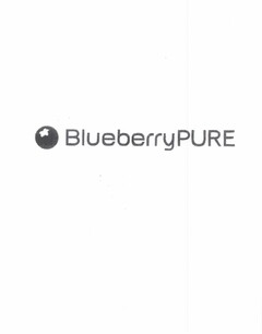 "BLUEBERRYPURE"