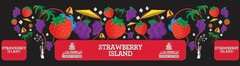 STRAWBERRY ISLAND AL FAKHER SPECIAL EDITION