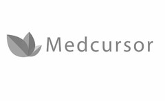 MEDCURSOR