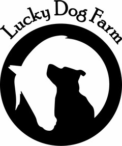 LUCKY DOG FARM