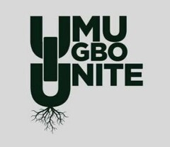 UIU UMU IGBO UNITE