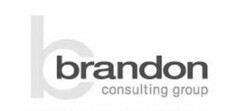 B BRANDON CONSULTING GROUP