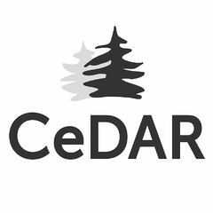 CEDAR