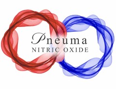 PNEUMA NITRIC OXIDE