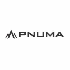 PNUMA