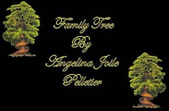 FAMILY TREE BY ANGELINA JOLIE PELLETIER