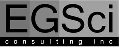 EGSCI CONSULTING INC