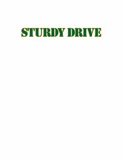 STURDY DRIVE