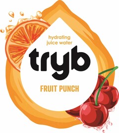 HYDRATING JUICE WATER TRYB FRUIT PUNCH
