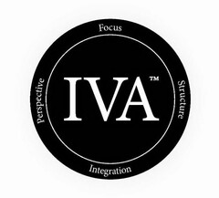 IVA FOCUS STRUCTURE INTEGRATION PERSPECTIVE