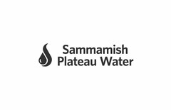 SAMMAMISH PLATEAU WATER