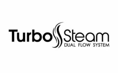 TURBO STEAM DUAL FLOW SYSTEM