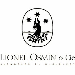 LIONEL OSMIN & CIE VIGNOBLES DU SUD OUEST