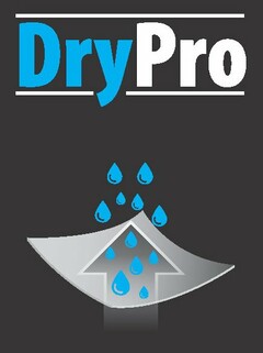 DRYPRO