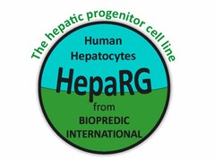 THE HEPATIC PROGENITOR CELL LINE HUMAN HEPATOCYTES HEPARG FROM BIOPREDIC INTERNATIONAL