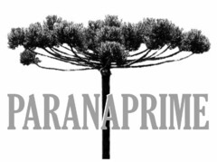 PARANAPRIME