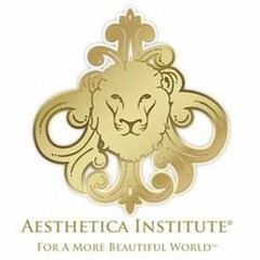 AESTHETICA INSTITUTE FOR A MORE BEAUTIFUL WORLD