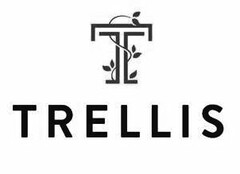 T TRELLIS