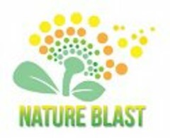 NATURE BLAST