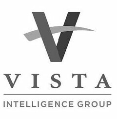 V VISTA INTELLIGENCE GROUP