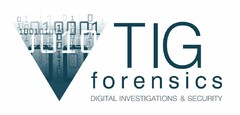 TIG FORENSICS DIGITAL INVESTIGATIONS & SECURITY