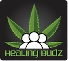 HEALING BUDZ