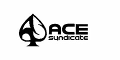 ACE SYNDICATE