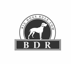 BDR BIG DOGS RULE . COM
