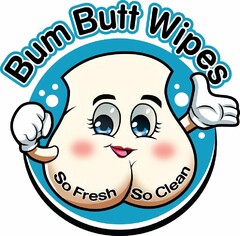 BUM BUTT WIPES SO FRESH SO CLEAN