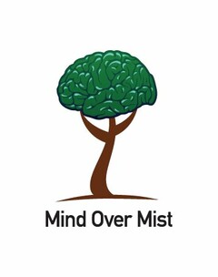 MIND OVER MIST