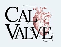 CALVALVE