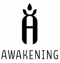 A AWAKENING