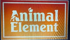 ANIMAL ELEMENT