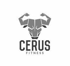 CERUS FITNESS