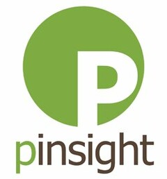 P PINSIGHT