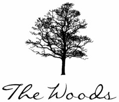 THE WOODS