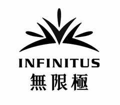 INFINITUS