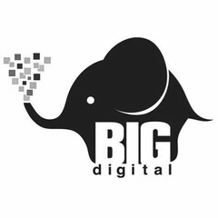 BIG DIGITAL