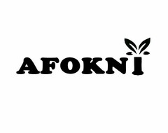 AFOKNY