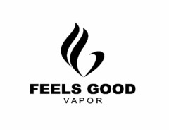 FEELS GOOD VAPOR