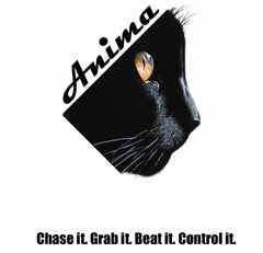 ANIMA CHASE IT. GRAB IT. BEAT IT. CONTROL IT.