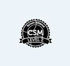 CSM SCRUM ALLIANCE LEVEL 2