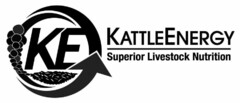 KE KATTLEENERGY SUPERIOR LIVESTOCK NUTRITION