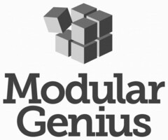 MODULAR GENIUS