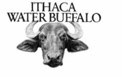 ITHACA WATER BUFFALO